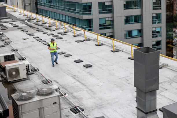 Best Roof Insulation Installation  in Sandwich, IL
