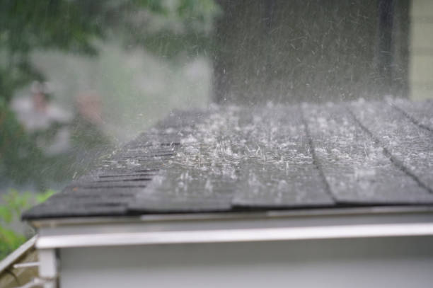 Best Rubber Roofing (EPDM, TPO)  in Sandwich, IL
